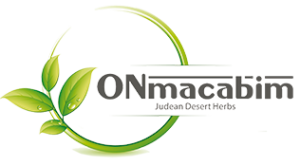 logo-onmac4